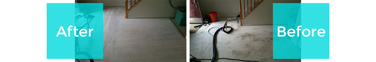 Before/After Rug Cleaning in Oaks on the Ridge