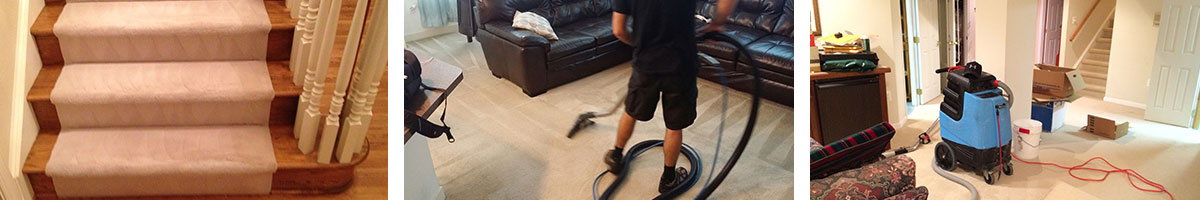 Carpet Cleaning in Bear Creek